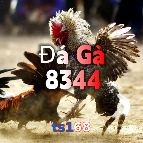ts168